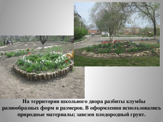 На территории школьного двора разбиты клумбы разнообразных форм и размеров. В оформлении использовались природные материалы; завезен плодородный грунт. 