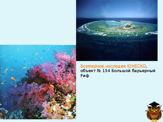 Всемирное наследие  ЮНЕСКО , объект № 154 Большой барьерный Риф 