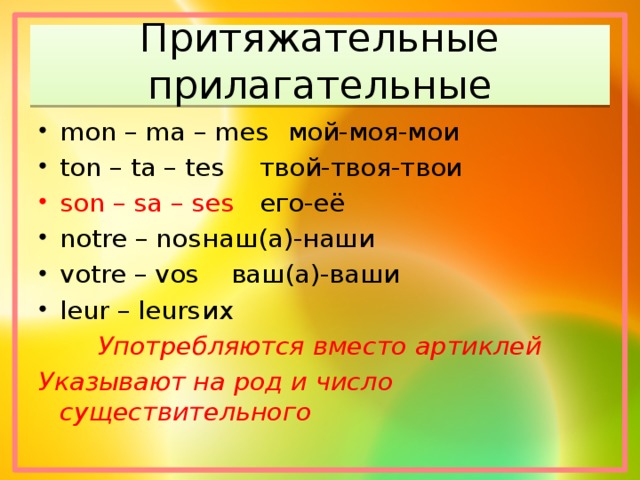 Притяжательные прилагательные mon – ma – mes   мой-моя-мои ton – ta – tes    твой-твоя-твои son – sa – ses    его-её notre – nos    наш(а)-наши votre – vos    ваш(а)-ваши leur – leurs    их Употребляются вместо артиклей Указывают на род и число существительного  