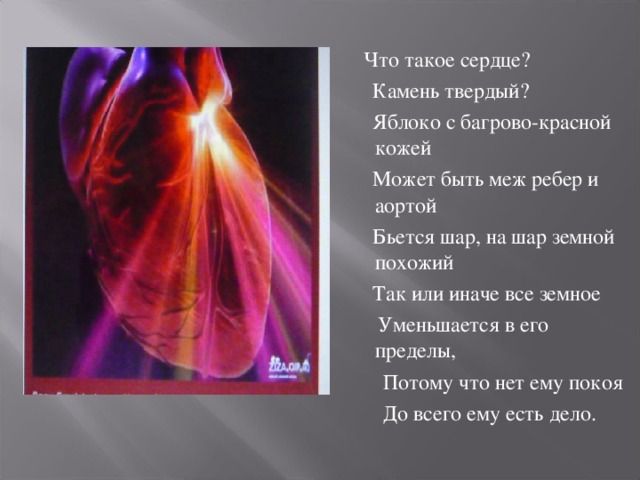  Что такое сердце?  Камень твердый?  Яблоко с багрово-красной кожей  Может быть меж ребер и аортой  Бьется шар, на шар земной похожий  Так или иначе все земное  Уменьшается в его пределы,  Потому что нет ему покоя  До всего ему есть дело.  