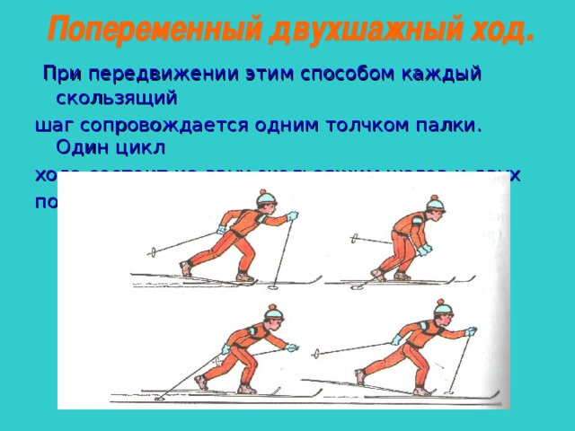  При передвижении этим способом каждый скользящий шаг сопровождается одним толчком палки. Один цикл хода состоит из двух скользящим шагов и двух попеременных отталкиваний палками. 