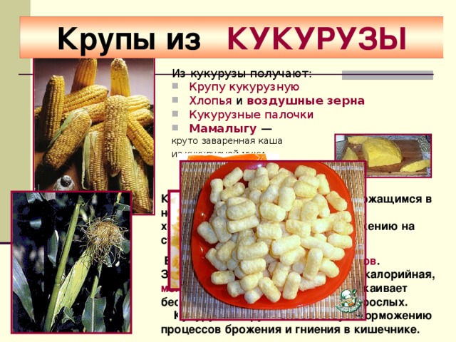 Крупы из КУКУРУЗЫ Из кукурузы получают: Крупу кукурузную Хлопья и воздушные зерна  Кукурузные палочки Мамалыгу — круто заваренная каша из кукурузной муки  Кукурузная крупа, благодаря содержащимся в ней веществам, регулирует уровень холестерина, препятствуя его отложению на стенках сосудов.   В кукурузной крупе много углеводов . Зато кукурузная каша – самая малокалорийная, молоаллергенная и прекрасно успокаивает беспокойный желудок у детей и взрослых.  Кукурузная крупа способствует торможению процессов брожения и гниения в кишечнике.  