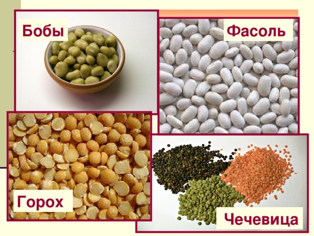 Крупы из  БОБОВЫХ Бобы Фасоль Все зернобобовые отличаются высокой калорийностью. Это:  Горох  Чечевица 