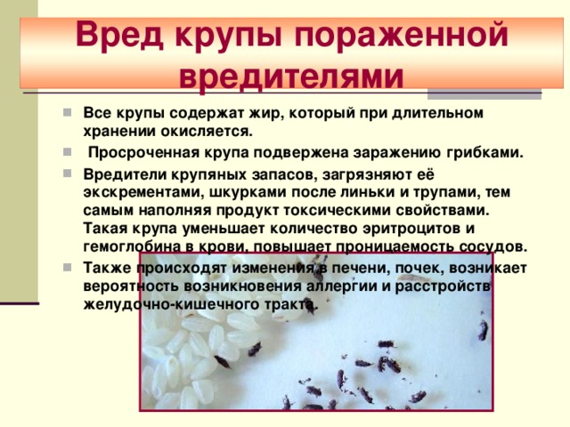  Вред крупы пораженной вредителями   Все крупы содержат жир, который при длительном хранении окисляется.  Просроченная крупа подвержена заражению грибками. Вредители крупяных запасов, загрязняют её экскрементами, шкурками после линьки и трупами, тем самым наполняя продукт токсическими свойствами. Такая крупа уменьшает количество эритроцитов и гемоглобина в крови, повышает проницаемость сосудов. Также происходят изменения в печени, почек, возникает вероятность возникновения аллергии и расстройств желудочно-кишечного тракта. 