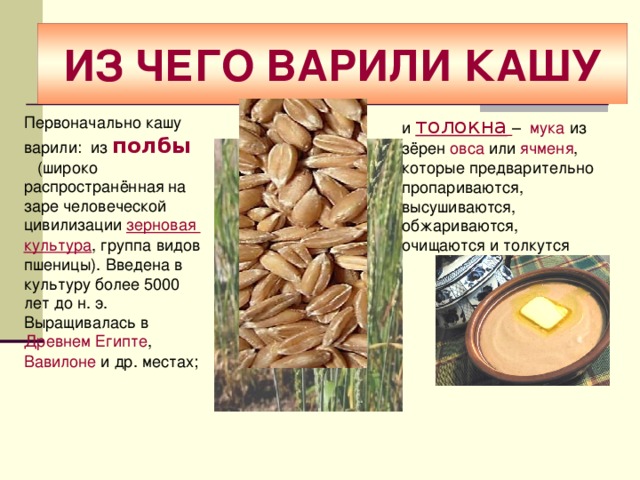 Первоначально кашу варили: из полбы   (широко распространённая на заре человеческой цивилизации зерновая культура , группа видов пшеницы). Введена в культуру более 5000 лет до н. э. Выращивалась в Древнем Египте , Вавилоне и др. местах; ИЗ ЧЕГО ВАРИЛИ КАШУ и толокна  – мука из зёрен овса или ячменя , которые предварительно пропариваются, высушиваются, обжариваются, очищаются и толкутся 