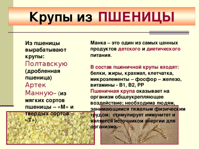 Крупы из  ПШЕНИЦЫ Манка – это один из самых ценных продуктов детского и диетического питания .   В состав пшеничной крупы входят: белки, жиры, крахмал, клетчатка, микроэлементы – фосфор – железо, витамины - В1, В2, РР Из пшеницы вырабатывают крупы:  Из пшеницы вырабатывают крупы:  Пшеничная крупа оказывает на организм общеукрепляющее воздействие; необходима людям, занимающимся тяжелым физическим трудом; стимулирует иммунитет и является источником энергии для организма.  Полтавскую (дробленная пшеница) Артек Манную–  ( из мягких сортов пшеницы – «М» и твердых сортов – «Т») Полтавскую (дробленная пшеница) Артек Манную–  ( из мягких сортов пшеницы – «М» и твердых сортов – «Т»)  