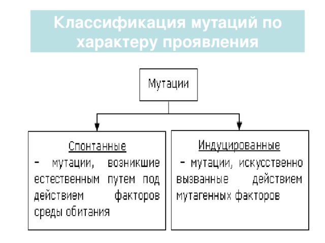 Классификация мутаций по характеру проявления  