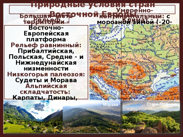 Природные условия стран Восточной Европы Рельеф Климат  Большая часть территории - Восточно-Европейская платформа Умеренно-континентальный: с морозной зимой (-20-30˚С) Рельеф равнинный: Прибалтийская, Польская, Средне - и Нижнедунайская низменности Низкогорья палеозоя: и теплым летом (+28+29˚С) Судеты и Морава Среднегодовое количество осадков от 2000 мм (Польша) и до 500 мм (Среднедунайская низменность) Альпийская складчатость: На юге: субтропический средиземноморский Агроклиматические условия благоприятны для развития сельского  хозяйства Карпаты, Динары,  Стара Планина, Родопы Динары Стара-Планина Морава 