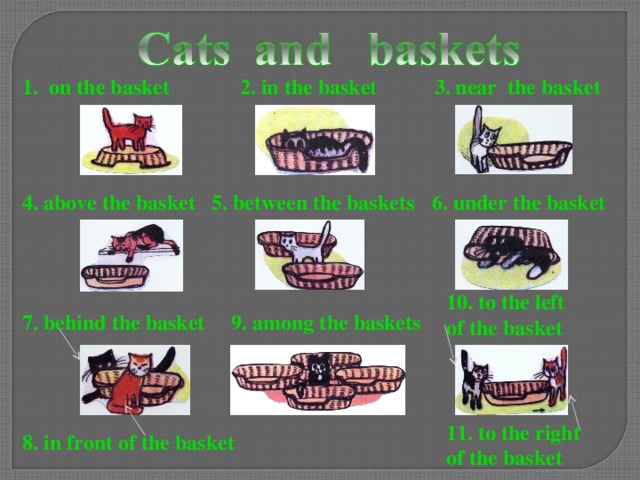  1 . on the basket  2 . in the basket  3 . near the basket  6. under the basket  5. between the baskets  4 . above the basket 10. to the left of the basket  7. behind the basket 9. among the baskets 11. to the right of the basket  8. in front of the basket  