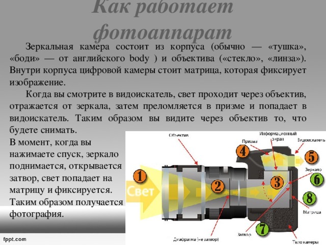 Как работает фотоаппарат    Зеркальная камера состоит из корпуса (обычно — «тушка», «боди» — от английского body ) и объектива («стекло», «линза»). Внутри корпуса цифровой камеры стоит матрица, которая фиксирует изображение.  Когда вы смотрите в видоискатель, свет проходит через объектив, отражается от зеркала, затем преломляется в призме и попадает в видоискатель. Таким образом вы видите через объектив то, что будете снимать. В момент, когда вы нажимаете спуск, зеркало поднимается, открывается затвор, свет попадает на матрицу и фиксируется. Таким образом получается фотография. 