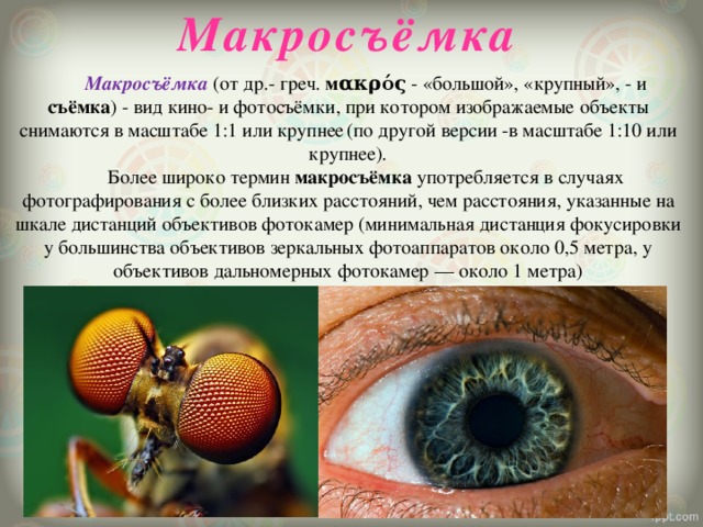 Макросъёмка   Макросъёмка (от др.- греч. мακρός - «большой», «крупный», - и съёмка ) - вид кино- и фотосъёмки, при котором изображаемые объекты снимаются в масштабе 1:1 или крупнее  (по другой версии -в масштабе 1:10 или крупнее).   Более широко термин макросъёмка употребляется в случаях фотографирования с более близких расстояний, чем расстояния, указанные на шкале дистанций объективов фотокамер (минимальная дистанция фокусировки у большинства объективов зеркальных фотоаппаратов около 0,5 метра, у объективов дальномерных фотокамер — около 1 метра) 