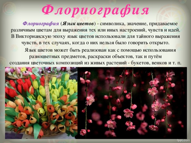 Флориография  Флориография ( Язык цветов ) - символика, значение, придаваемое различным цветам для выражения тех или иных настроений, чувств и идей. В Викторианскую эпоху язык цветов использовали для тайного выражения чувств, в тех случаях, когда о них нельзя было говорить открыто.  Язык цветов может быть реализован как с помощью использования разноцветных предметов, раскраски объектов, так и путём создания цветочных композиций из живых растений - букетов, венков и т. п. 