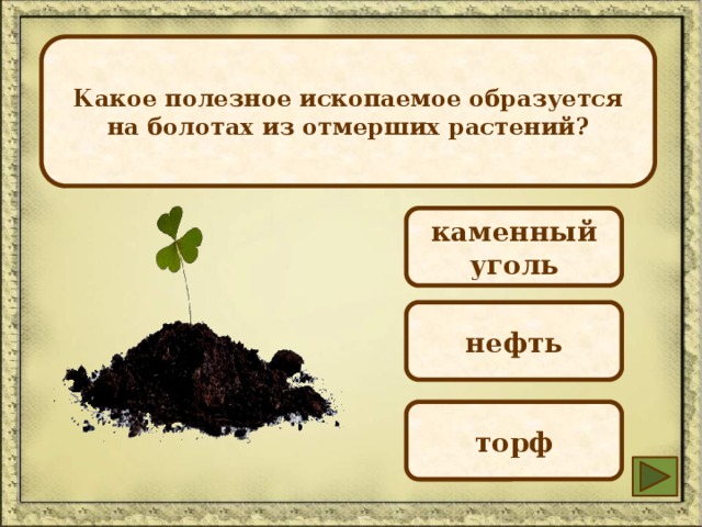 Какое полезное ископаемое образуется на болотах из отмерших растений? каменный уголь нефть торф 