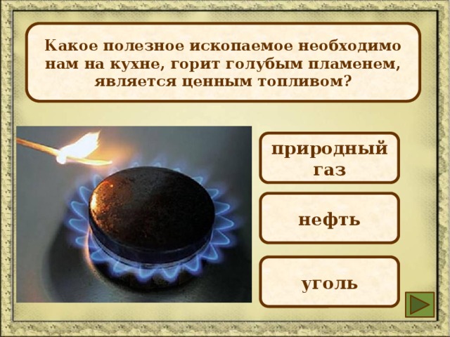 Какое полезное ископаемое необходимо нам на кухне, горит голубым пламенем, является ценным топливом? природный газ нефть уголь 