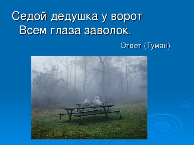 Седой дедушка у ворот  Всем глаза заволок . Ответ (Туман) 