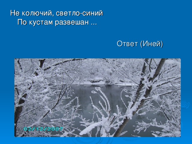 Не колючий, светло-синий  По кустам развешан ... Ответ (Иней) 