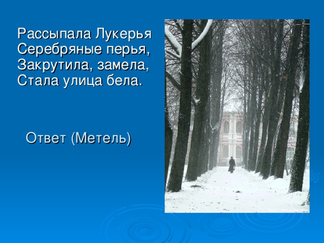 Рассыпала Лукерья  Серебряные перья,  Закрутила, замела,  Стала улица бела. Ответ (Метель) 