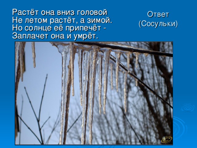 Растёт она вниз головой  Не летом растёт, а зимой.  Но солнце её припечёт -  Заплачет она и умрёт. Ответ (Сосульки) 
