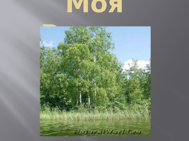 Моя Родина 