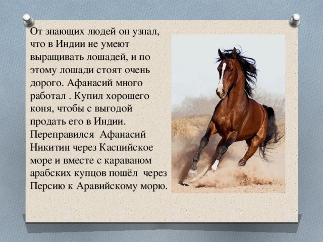 От знающих людей он узнал, что в Индии не умеют выращивать лошадей, и по этому лошади стоят очень дорого. Афанасий много работал . Купил хорошего коня, чтобы с выгодой продать его в Индии. Переправился Афанасий Никитин через Каспийское море и вместе с караваном арабских купцов пошёл через Персию к Аравийскому морю. 