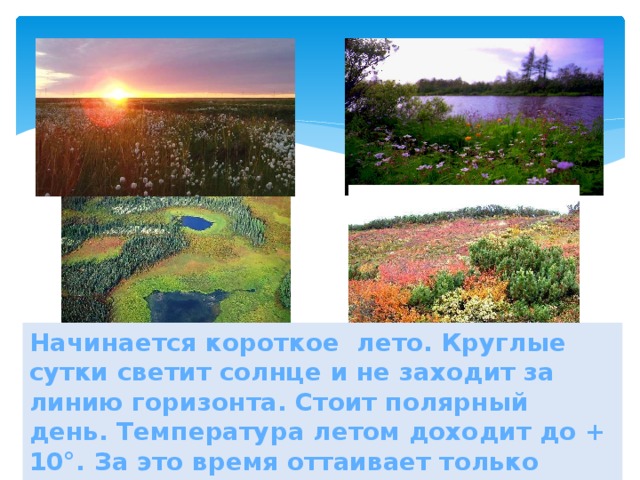 Начинается короткое лето. Круглые сутки светит солнце и не заходит за линию горизонта. Стоит полярный день. Температура летом доходит до + 10°. За это время оттаивает только верхний слой земли, а глубже остаётся многолетняя мерзлота 