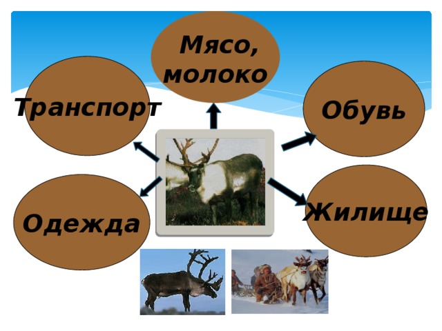  Мясо, молоко Транспорт Обувь Жилище Одежда 