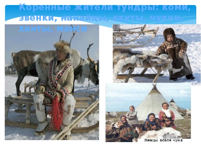 Коренные жители тундры: коми, эвенки, нанайцы, якуты, чукчи, ханты, манси 