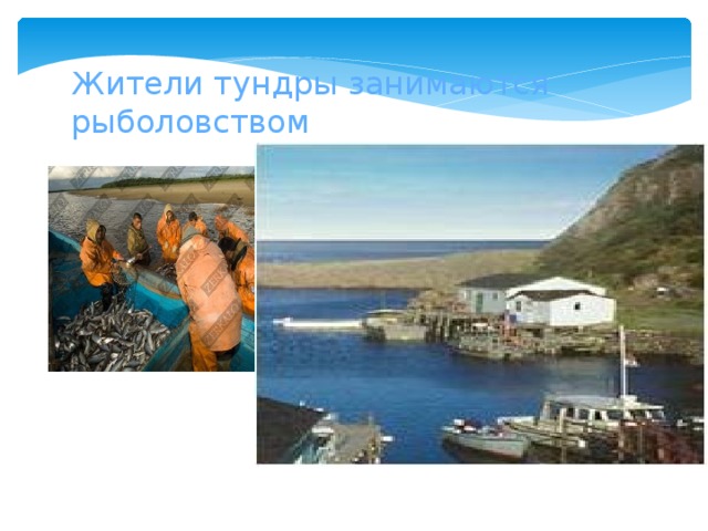 Жители тундры занимаются рыболовством 