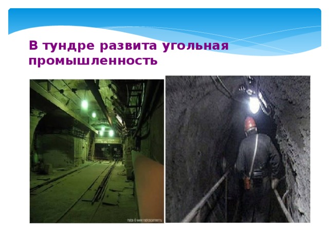В тундре развита угольная промышленность 