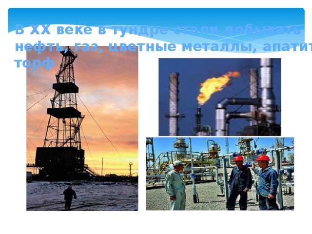 В XX веке в тундре стали добывать нефть, газ, цветные металлы, апатиты, торф 