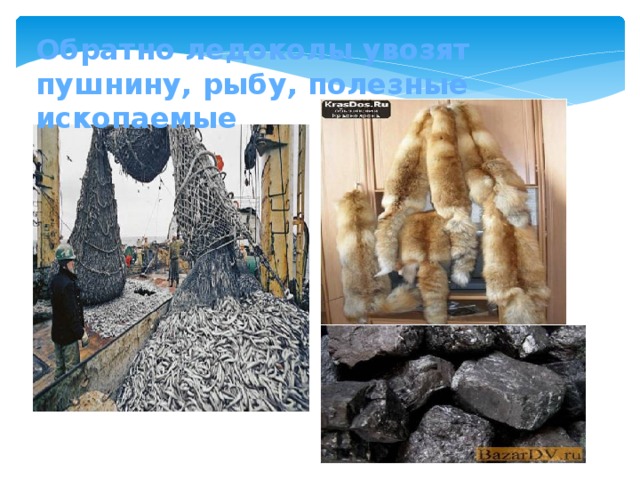 Обратно ледоколы увозят пушнину, рыбу, полезные ископаемые 