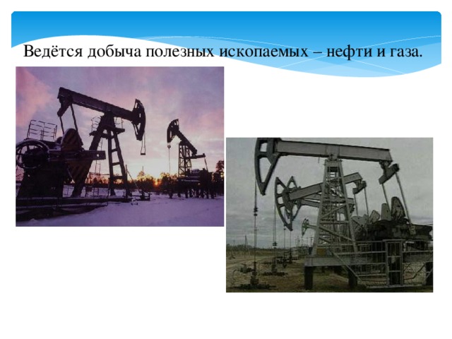 Ведётся добыча полезных ископаемых – нефти и газа. 