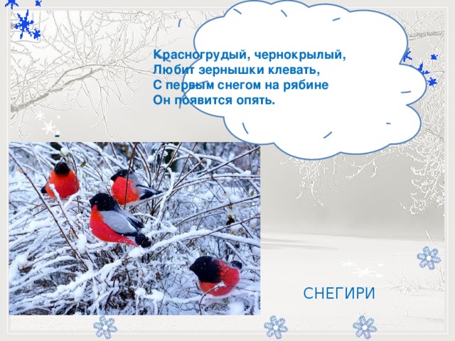   Красногрудый, чернокрылый,  Любит зернышки клевать,  С первым снегом на рябине  Он появится опять.             -   СНЕГИРИ 