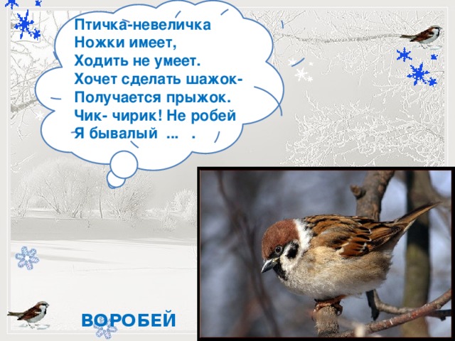 Птичка-невеличка Ножки имеет, Ходить не умеет. Хочет сделать шажок- Получается прыжок. Чик- чирик! Не робей Я бывалый ... .         -   ВОРОБЕЙ 