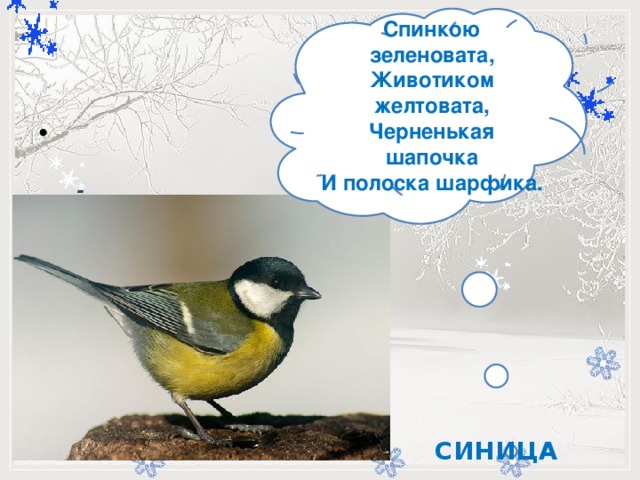 Спинкою зеленовата,  Животиком желтовата,  Черненькая шапочка  И полоска шарфика.           -    СИНИЦА 