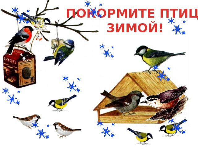 ПОКОРМИТЕ ПТИЦ  ЗИМОЙ! 
