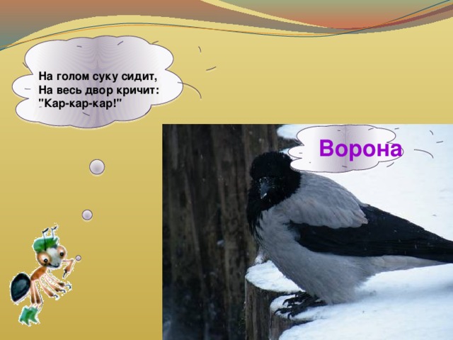  На голом суку сидит, На весь двор кричит: 