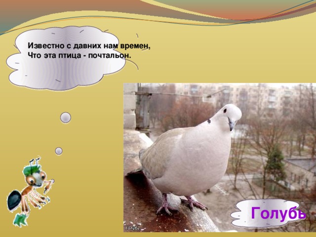  Известно с давних нам времен,  Что эта птица - почтальон. Голубь 