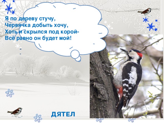 Я по дереву стучу,  Червячка добыть хочу,  Хоть и скрылся под корой-  Всё равно он будет мой!         -    ДЯТЕЛ 