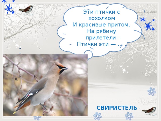 Эти птички с хохолком  И красивые притом,  На рябину прилетели.  Птички эти — … .         -    СВИРИСТЕЛЬ 