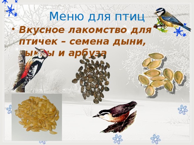 Меню для птиц         -   Вкусное лакомство для птичек – семена дыни, тыквы и арбуза 