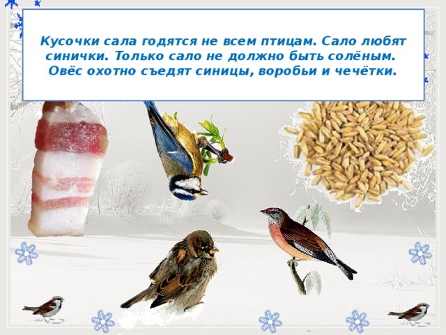 Кусочки сала годятся не всем птицам. Сало любят синички. Только сало не должно быть солёным. Овёс охотно съедят синицы, воробьи и чечётки.         -   