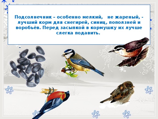 Подсолнечник – особенно мелкий, не жареный, - лучший корм для снегирей, синиц, поползней и воробьёв. Перед засыпкой в кормушку их лучше слегка подавить.         -   