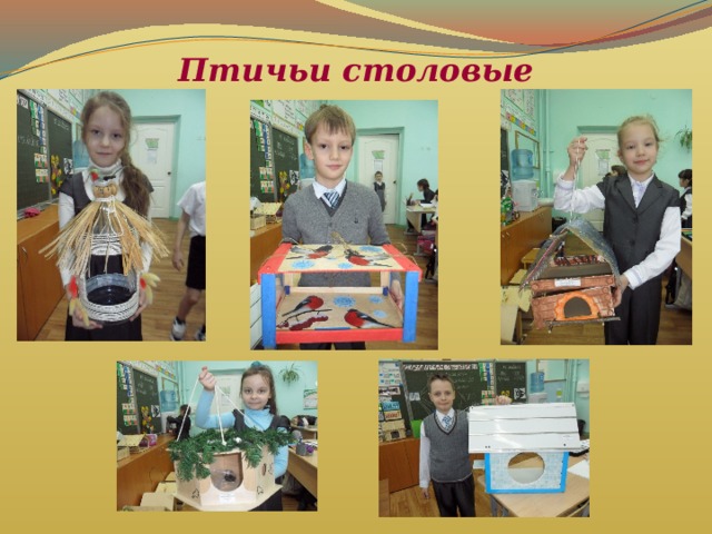Птичьи столовые 