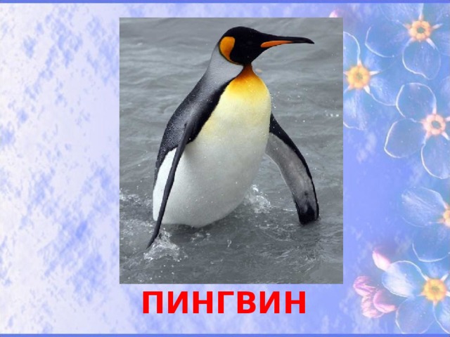 ПИНГВИН  