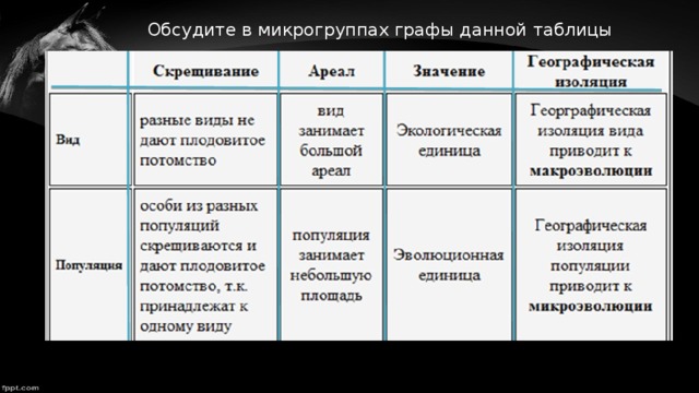 Обсудите в микрогруппах графы данной таблицы