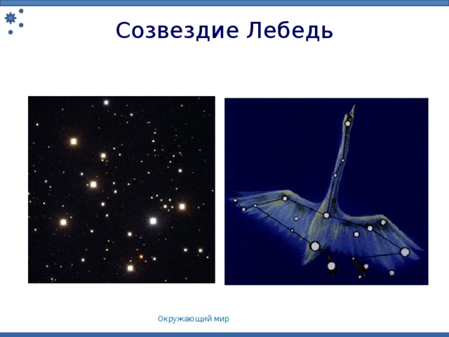 Созвездие Лебедь Окружающий мир 