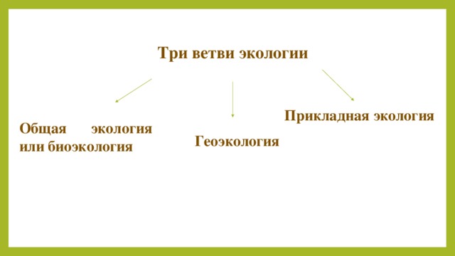 Три ветви экологии Прикладная экология Общая экология или биоэкология Геоэкология 