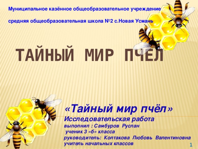«Тайный мир пчёл»  Исследовательская работа  выполнил : Самбуров Руслан  ученик 3 «б» класса  руководитель: Колтакова Любовь Валентиновна  учитель начальных классов Муниципальное казённое общеобразовательное учреждение  средняя общеобразовательная школа №2 с.Новая Усмань Тайный мир пчёл   