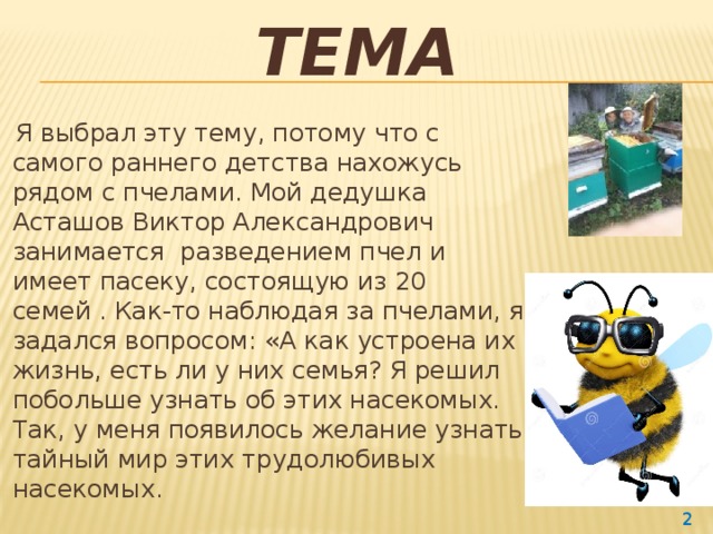Тема  Я выбрал эту тему, потому что с самого раннего детства нахожусь рядом с пчелами. Мой дедушка Асташов Виктор Александрович занимается разведением пчел и имеет пасеку, состоящую из 20 семей . Как-то наблюдая за пчелами, я задался вопросом: «А как устроена их жизнь, есть ли у них семья? Я решил побольше узнать об этих насекомых. Так, у меня появилось желание узнать тайный мир этих трудолюбивых насекомых.  